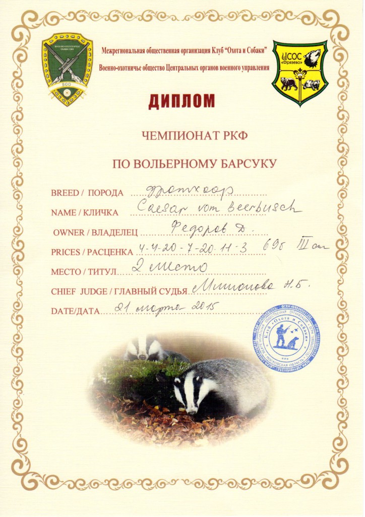 Чемпионат РКФ по вольерному барсуку. 21.03.2015_Цезарь