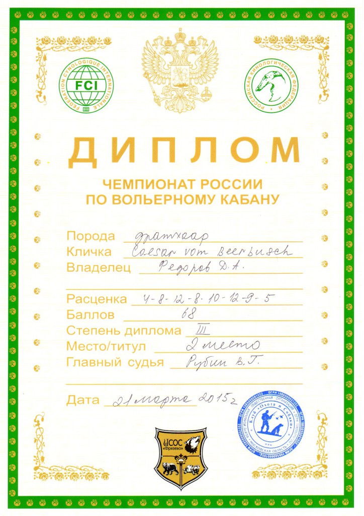 Чемпионат России по вольерному кабану. 21.03.2015_Цезарь