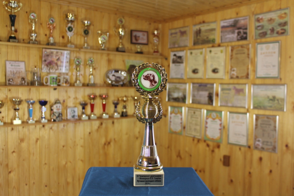 2014.05.31 Цезарь ЛМС