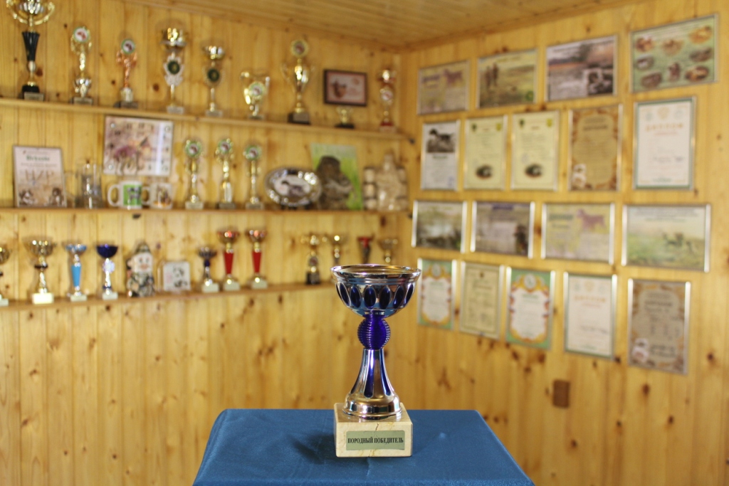 2015.03.21 Цезарь ПП чемпионат РКФ по вольерному барсуку
