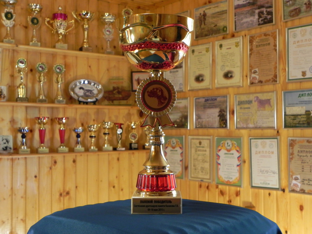 2015.05.09.Цезарь - I место.Полевой Победитель. Состязания дратхааров . Мемориал Г.К. Казакова.