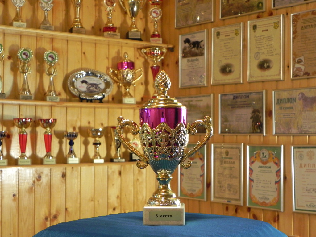 2015.05.23.   Берта - III место                                      Сертификатные (САСТ) Состязания по болотно-луговой и полевой дичи